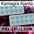 Kamagra Ajanta 29
